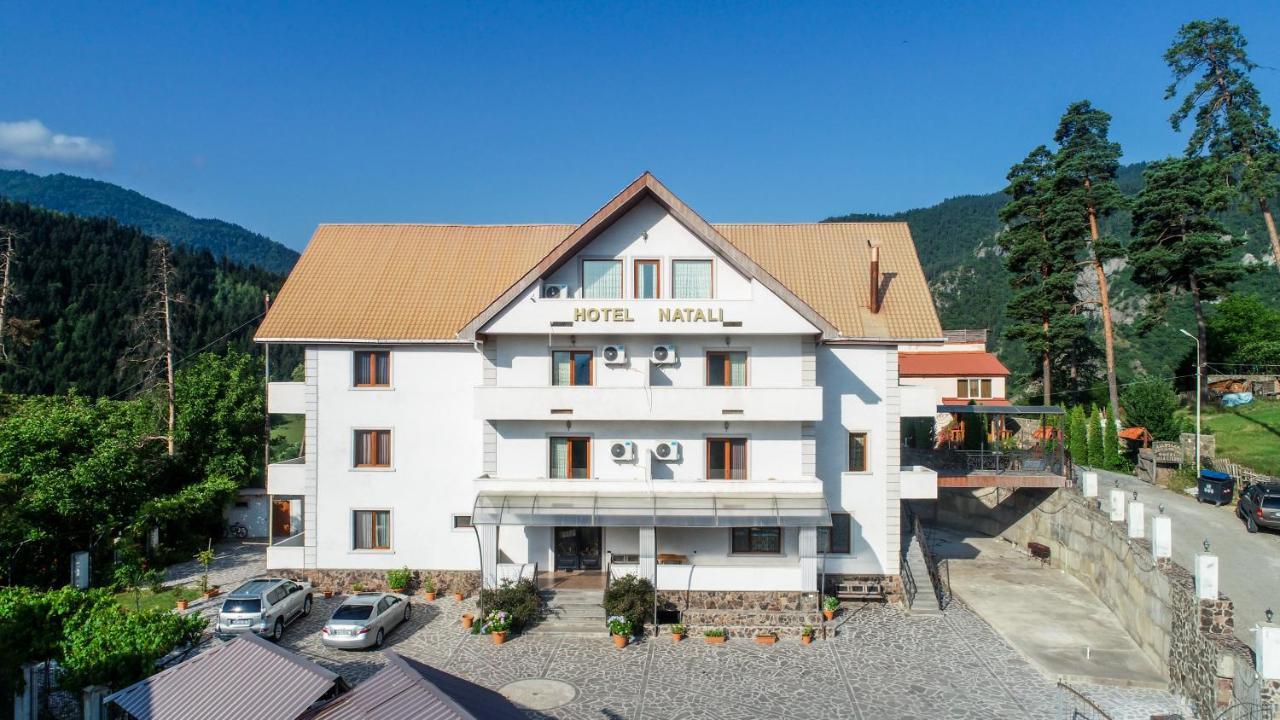 Natali Hotel 보르조미 외부 사진